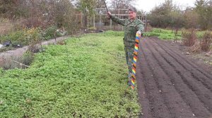 Сидераты. Наполняют ли бобовые почву азотом своими корнями