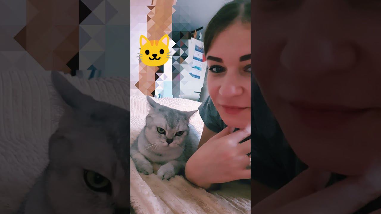 Кэжуал. Владивосток - утро - туман как из Сайлент Хил. Моя кошка недовольна. смотреть онлайн