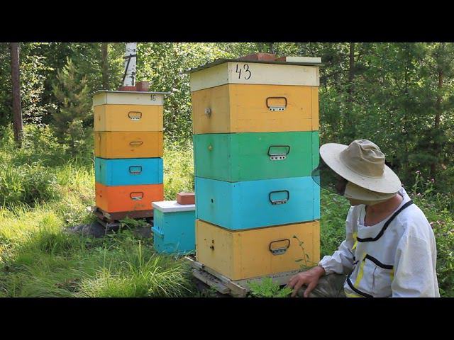 постановка четвертого корпуса смотреть онлайн