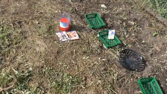 Посадил яблони, чёрную смородину, малину и крокусы. Дом на реке, часть 12 смотреть онлайн