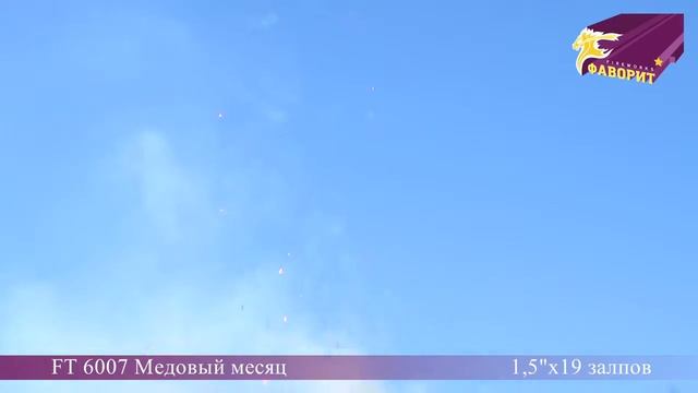 Дневная батарея салютов "Медовый месяц" (FT 6007) смотреть онлайн