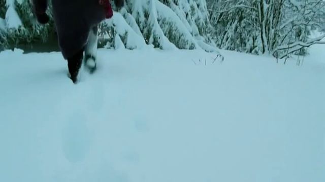 ДиДюЛя - "Лес" смотреть онлайн