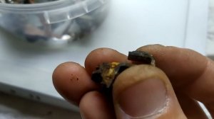 ЗАПАСЫ ТЕХ СЕРЕБРА! Добываю МЕДЬ, ЛАТУНЬ! Где найти техническое серебро?