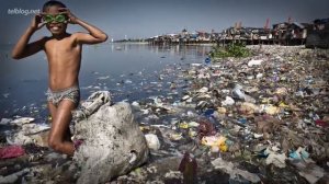 20 ШОКИРУЮЩИХ Последствий Мусора!