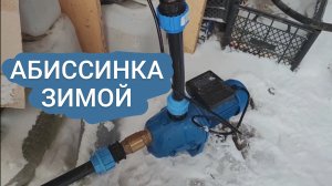 Обзор Абиссинской скважины зимой