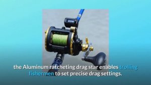 Sougayilang Line Counter Fishing Reel Conventional Level Wind Trolling Reel Review