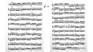 Rode Violin Caprice no.2 TMEA All State Audition (Fast/Slow)