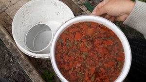 Как я борюсь с вредителями  на красной смородине...