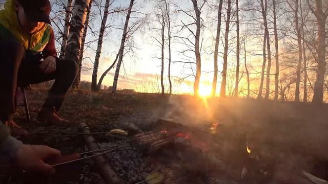 Костер в лесу. Березовый сок. смотреть онлайн