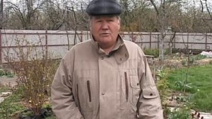 Валерий Панов: чем обработать сливу и вишню во время цветения и после?
