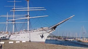 Товарищ часть 2