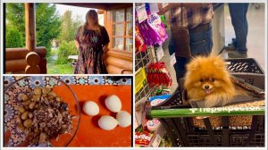 Игорь раскритиковал мой салат. Купила платье со смешным рисунком. Самый главный покупатель! Влог