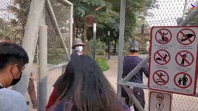 Dubai Safari Zoo | Travel Vlog | Part-1 смотреть онлайн