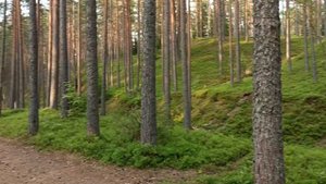 Ленинградская область