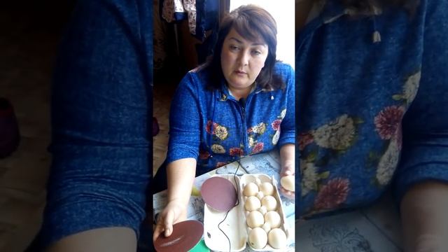 Инкубация мускусных утят в Блиц смотреть онлайн