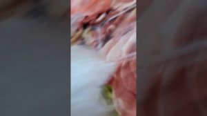 Пробуем Крымские сладости.( рахат лукум ,похвала ,и другие