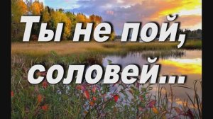 ТЫ НЕ ПОЙ СОЛОВЕЙ ВОЗЛЕ КЕЛЬИ МОЕЙ