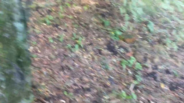 КТО ДАЛЬШЕ КИНЕТ КАМЕНЬ - ЧЕЛЛЕНДЖ! смотреть онлайн