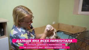 Экстренная ситуация! Бланка с 10 щенками возвращается к нам посреди ночи.