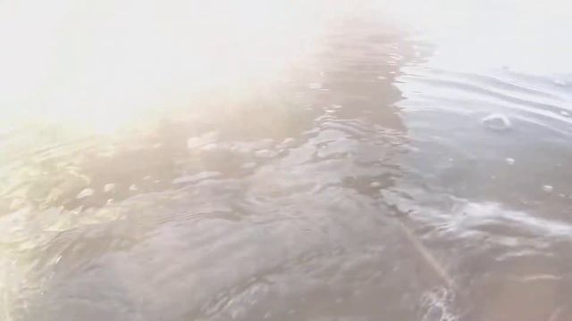 Подводная охота днем. Озеро Хубсугул (Монголия).