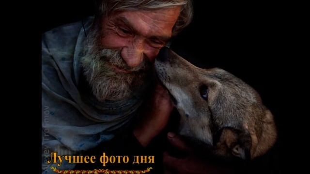 Лучшие фото дня  в группе "ФОТОМИР"