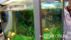 Зимняя электронная удочка Удача 4