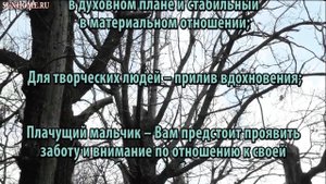 К чему снится Мальчик сонник, толкование сна