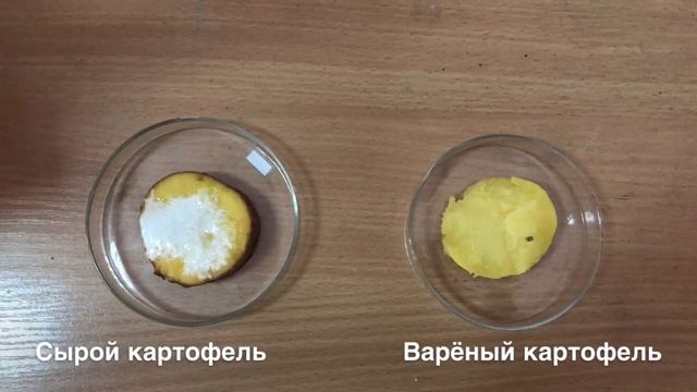 Лабораторная работа. Роль ферментов в процессе обмена веществ. смотреть онлайн