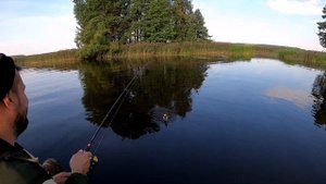 Скнятино. Волга. Рыбалка 2020