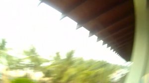 Попугаи, пляж и интересные факты. Hikka Tranz by Cinnamon. 2021-2022 г.г. Хиккадува. Шри-Ланка.