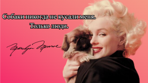 МЭРИЛИН МОНРО: питомцы Мэрилин//Жизнь звезды вне съемок