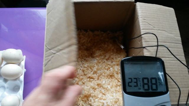 Сбор и хранение инкубационного яйца. смотреть онлайн