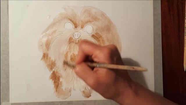 Как нарисовать симпатичную собачку- болонку акварельными красками