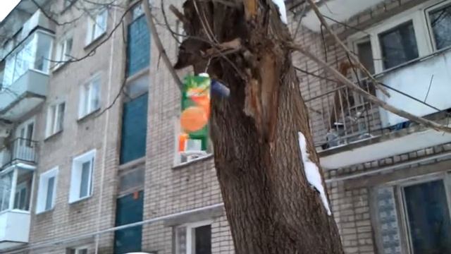 Прикольная кормушка типа испытай удачу...