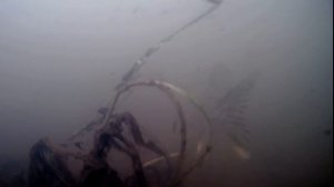 Щука на живца! Ловля Щуки на Поплавок с Подводными камерами!