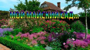 МОЙ МАЙСКИЙ САД *