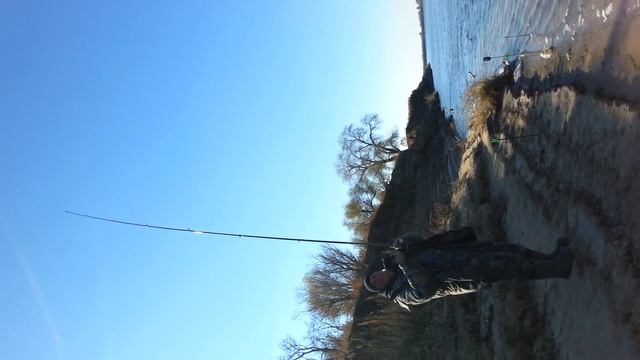 Карповая ловля. Город Харабали.( Сазан на 10кг. ) 26 октября 2014г. смотреть онлайн