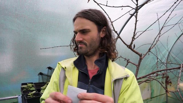 How to get early flowers!! Get your Spring and Summer flowers first! Dans allotment show!! смотреть онлайн