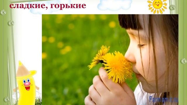 Сенсорика с музыкой смотреть онлайн