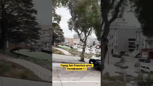 Город San Francisco штат Калифорния ??