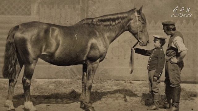 Цирк на Цветном: история для взрослых или немного о том, как побеждать конкурентов
