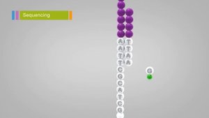 Overview of Illumina Sequencing by Synthesis Workflow