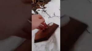 Охота на вальдшнепа.