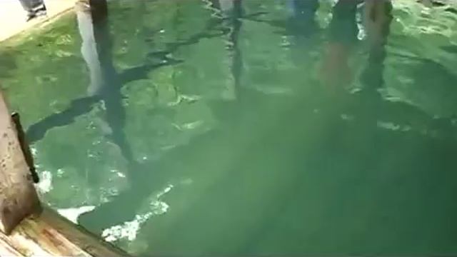 Святые источники России