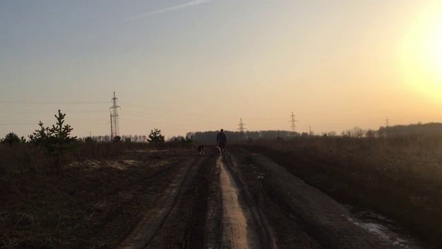 Природа Серпуховского района смотреть онлайн