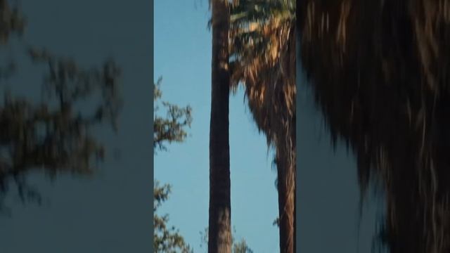 Как носить яркую сумку? смотреть онлайн