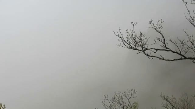 Демерджи погружается в туман смотреть онлайн