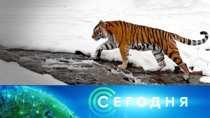 «Сегодня»:  3 января 2023 года. 08:00 | Выпуск новостей | Новости НТВ