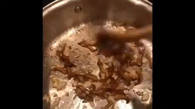 Cooking With Late Oyster Mushrooms in Gig Harbor смотреть онлайн