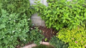 Как преобразить цветник ? Формируем цветник в формы .